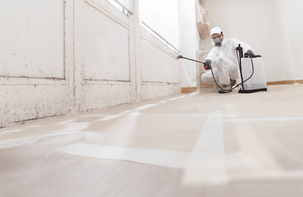 24/7 Emergency Mold Remediation experts in Round Rock, TX