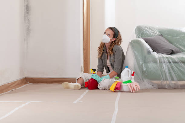 Reliable Mold Remediation contractor in Round Rock, TX by Car Mold Remediation
